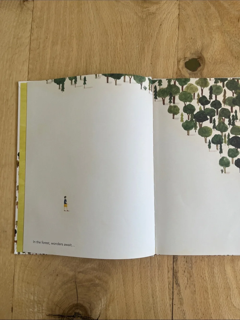 Beautiful Collection of 4 Children’s Books